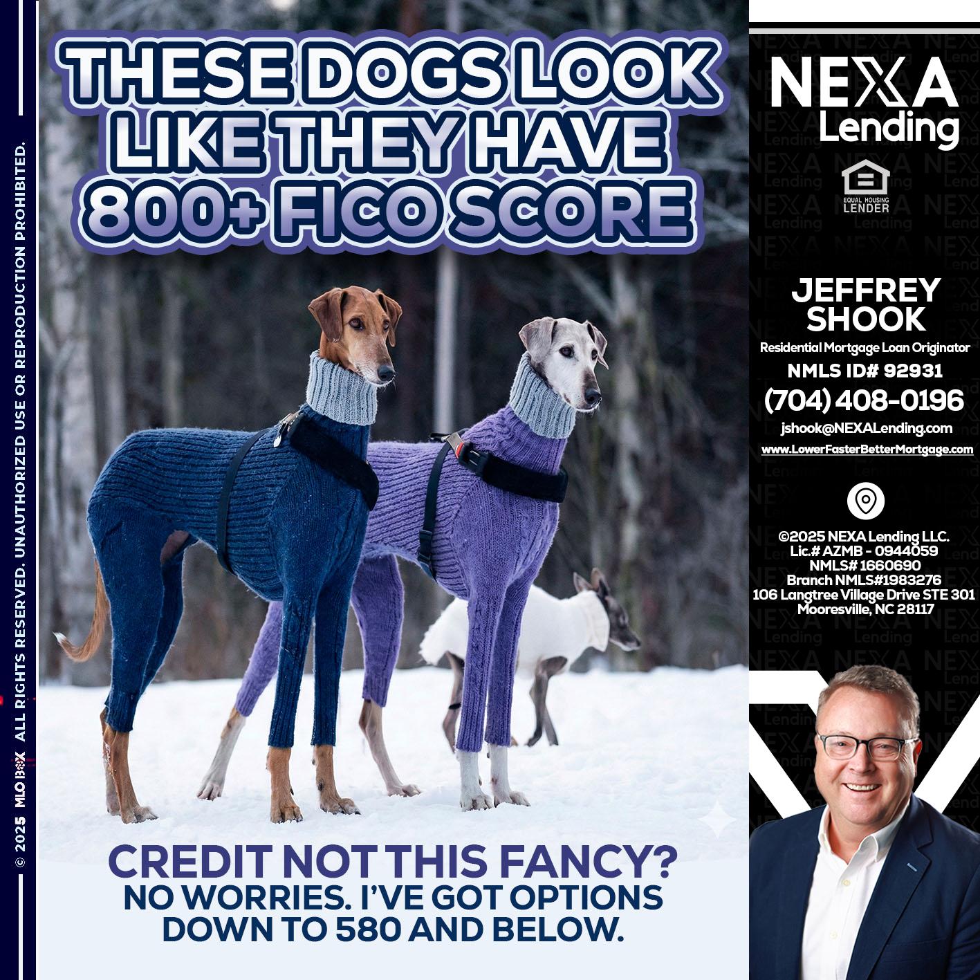 THESE DOGS LOOK - Jeffrey Shook -Residential Mortgage Loan Originator